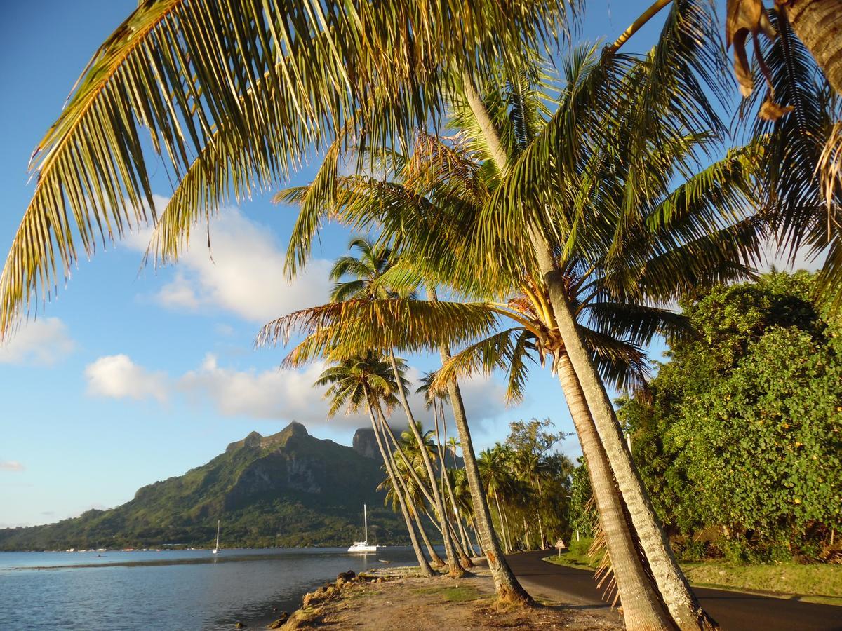 Village Temanuata Bora Bora Luaran gambar